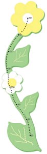 Posy Height Measure